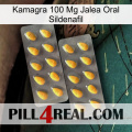 Kamagra 100 Mg Oral Jelly Sildenafil cialis2